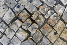 Tiroteio em discoteca Dose Certa em Setúbal faz três feridos	