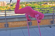 Josh Sundquist, Halloween