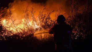 Conselho de Ministros aprova programa para recuperar habitações afetatas pelos fogos