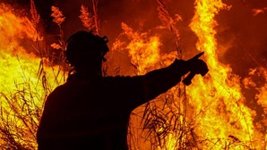 Governo decide em 20 dias subsídios para pequenas empresas afetadas pelos fogos