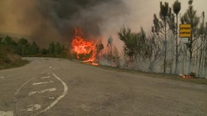 Incêndio em Arganil