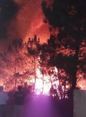Populares assutados com o incêndio em Santo Isidoro, Mafra