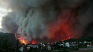 Incêndio na Sertã 