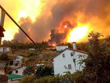 Incêndio na localidade do Troviscal, Sertã 