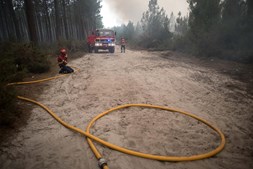 Bombeiros combatem incêndio no Pinhal de Leiria