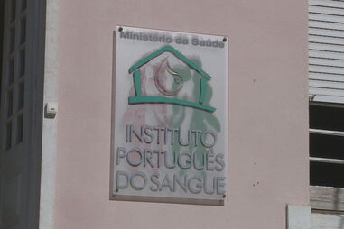 Conheça 'a avó viral'