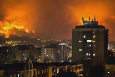 Chamas consumiram 1.200 hectares de floresta em Braga