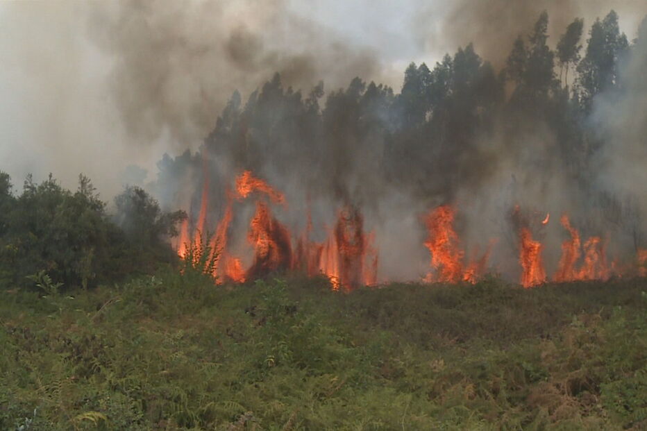 Época mais crítica de incêndios termina com 64 mortos e maior área ardida da última década