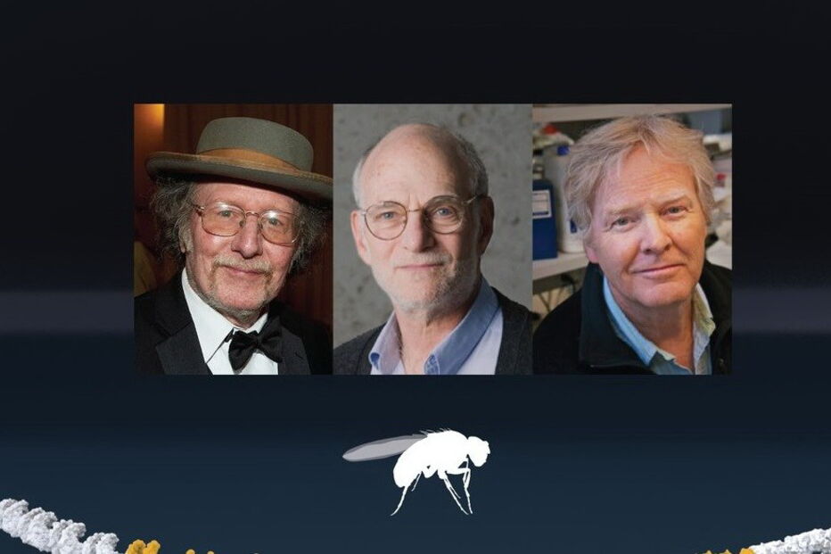 Nobel da Medicina atribuído a investigadores do relógio biológico do organismo