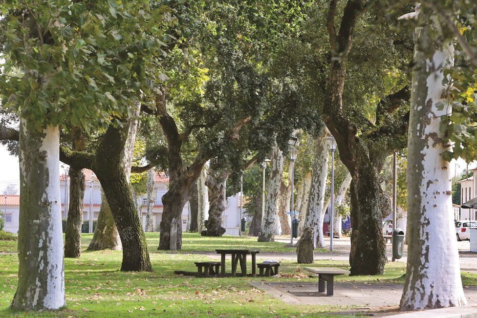 Trofa, viagens, história, destinos, Nicolau Nasoni, cultura, viagem