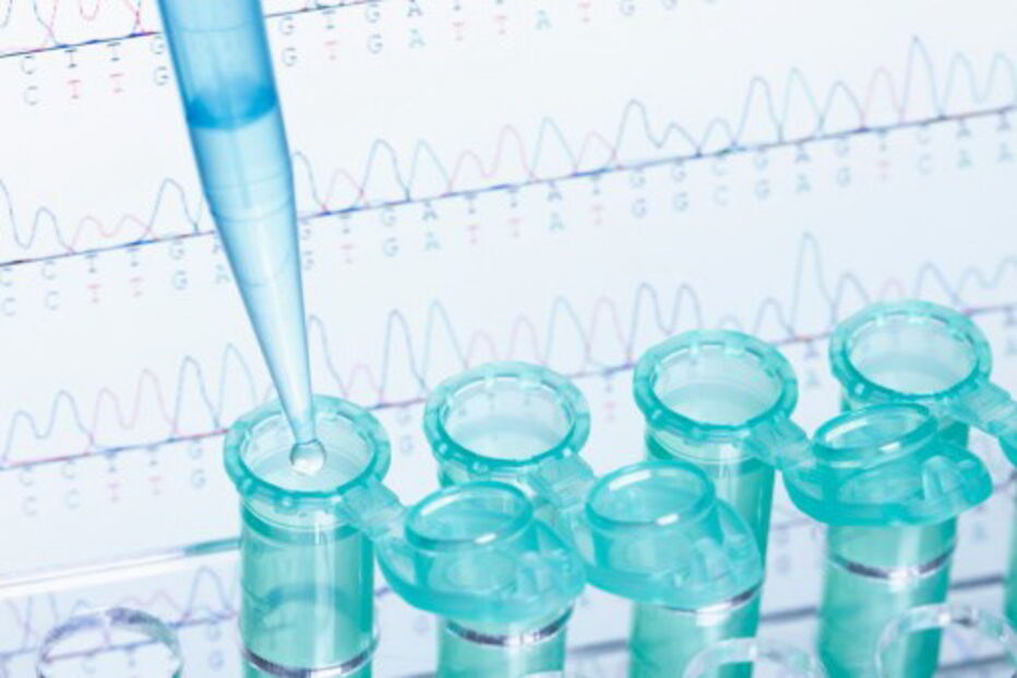 Descendentes podem pedir a investigação de paternidade num prazo de até dez anos depois de atingirem os 18 anos