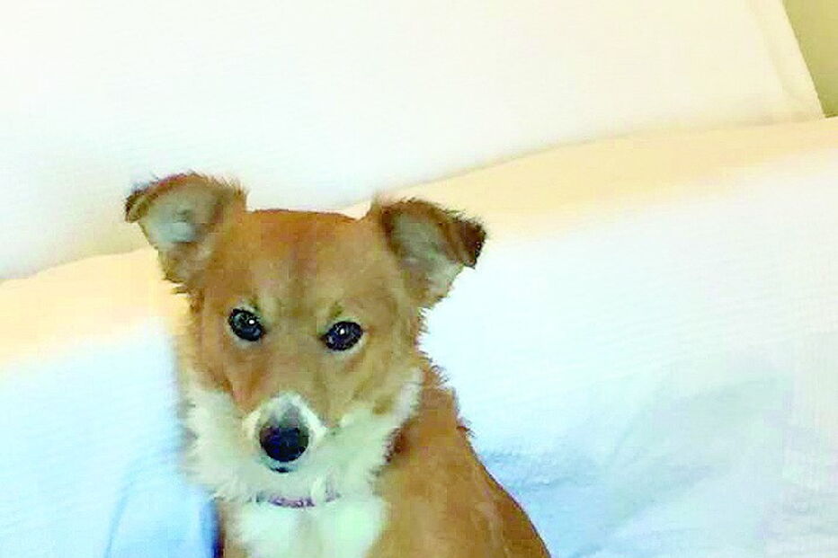 Kiko desapareceu a 30 de setembro pelas 12h00