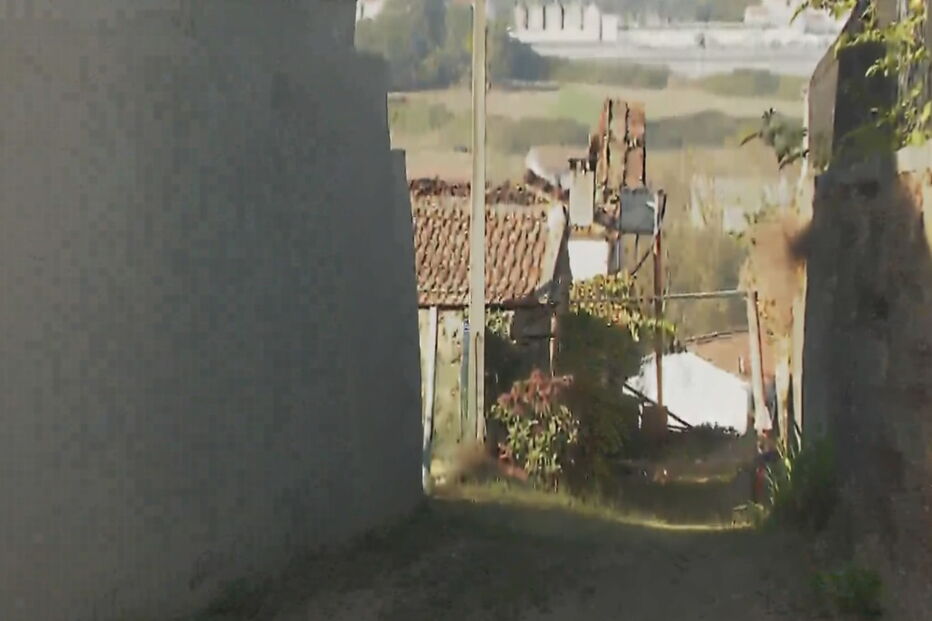 Incêndio deixa quatro pessoas desalojadas em Oliveira de Azeméis