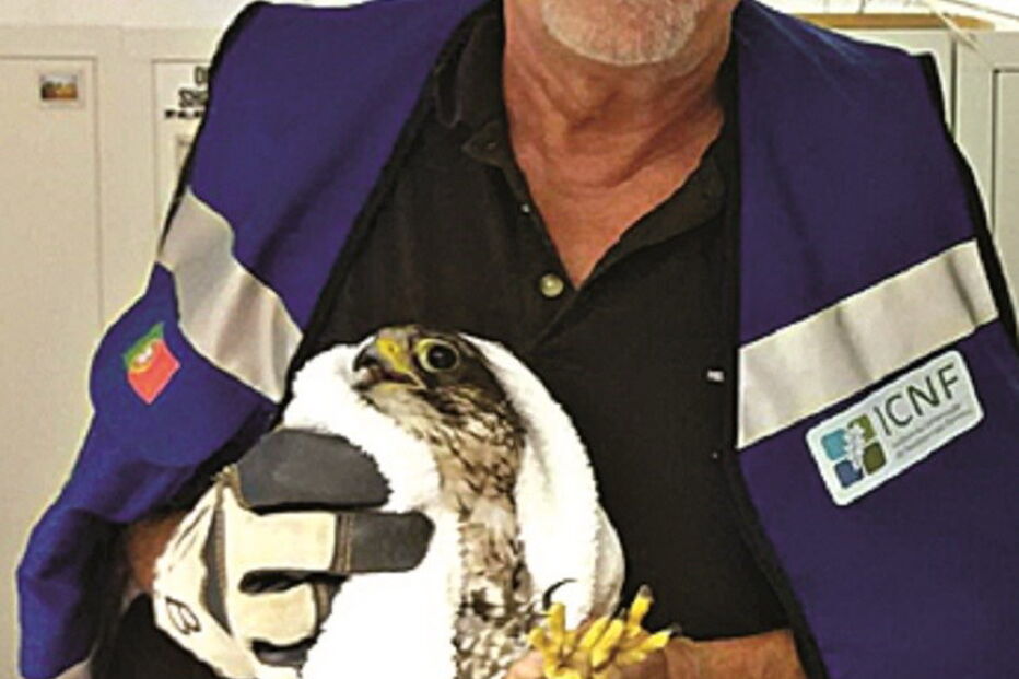 Ave estava fechada e amarrada