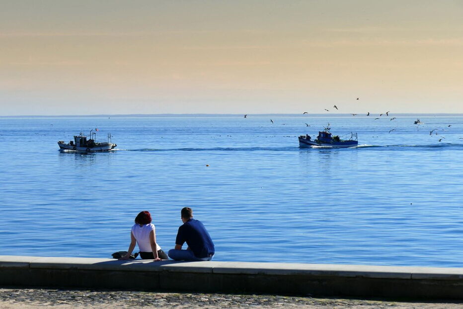 Porto, Setúbal, barcos, pesca, costa