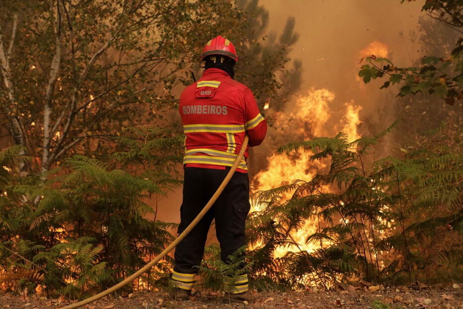 Fogo intenso alastrou aos concelhos de Pampilhosa da Serra e Arganil