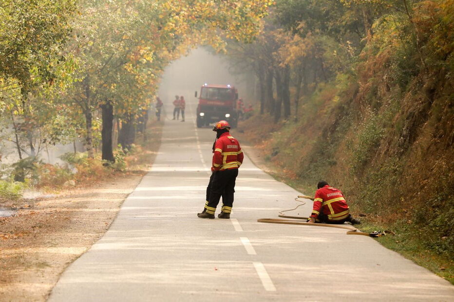 Fogo intenso alastrou aos concelhos de Pampilhosa da Serra e Arganil
