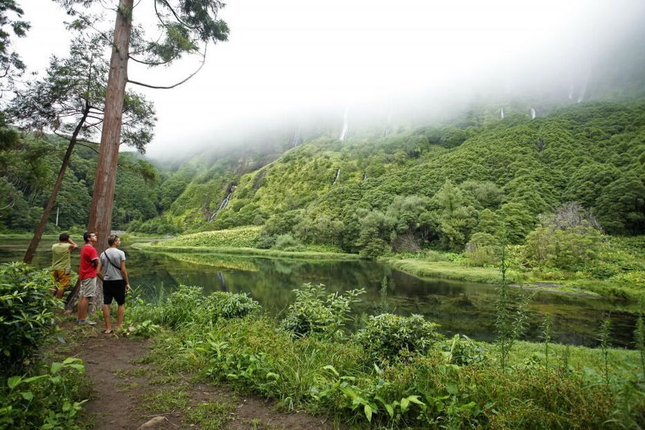 Poço da Ribeira do Ferreiro, ilha das Flores