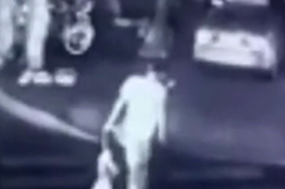 Homem foi filmado a matar cão e a livrar-se do cadáver do animal