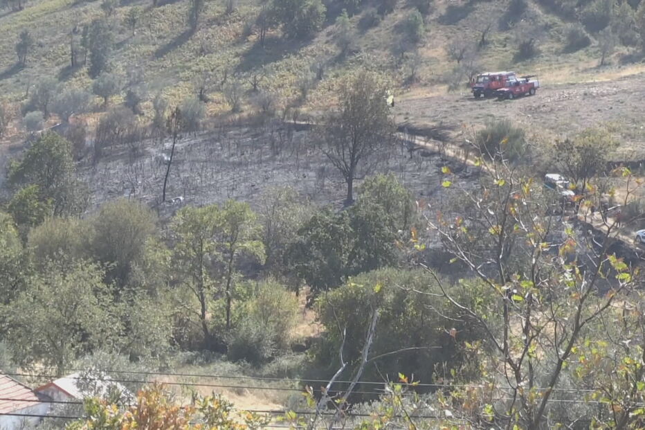 Homem morre a fugir do fogo no Sabugal