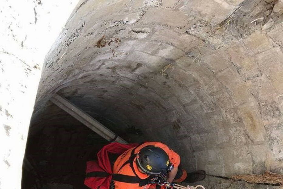 Bombeiros salvam cão de um poço