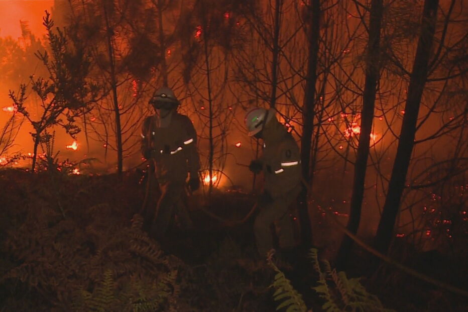 Governo vai reabrir postos de vigilância de incêndios