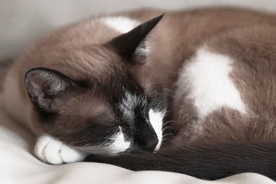 2017-10-13_15_47.47 848079012.jpg