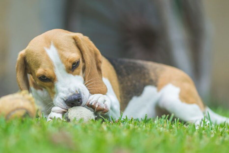 2017-10-13_15_47.47 856318276.jpg