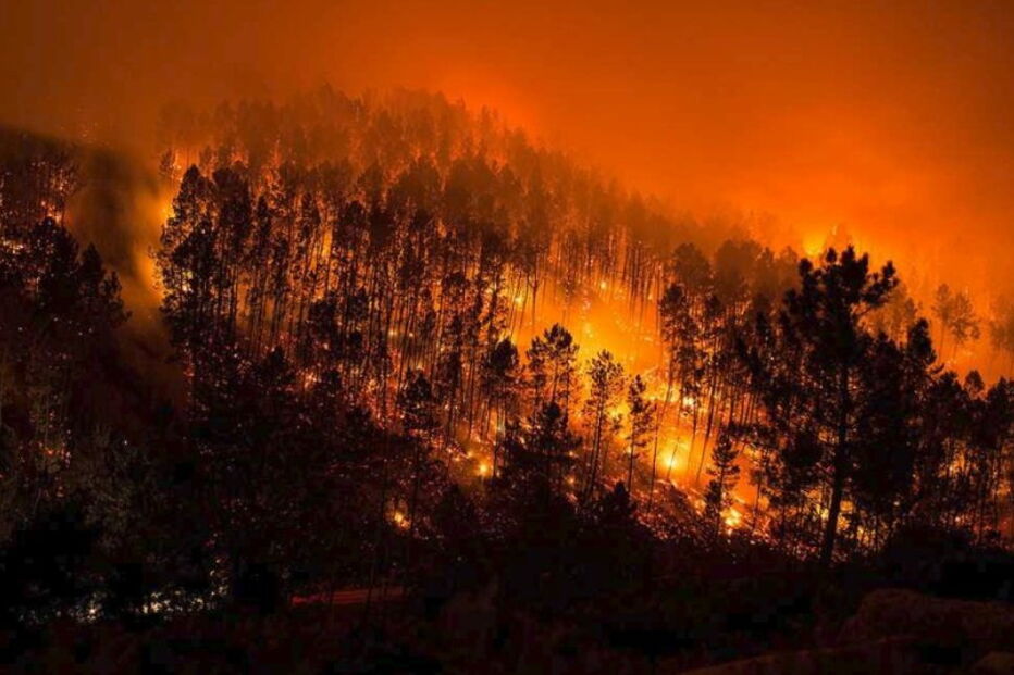 Incêndios na Galiza