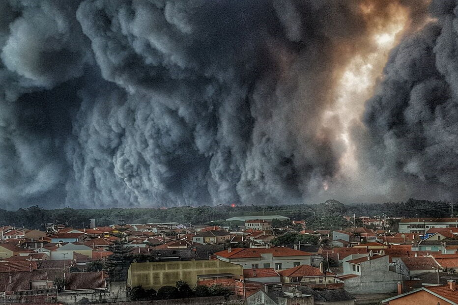 Vieira de Leira, incêndios, pinhal de leiria, fogo, foto