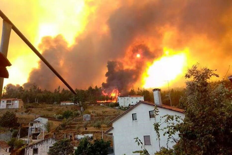 Troviscal, fogos, sertã