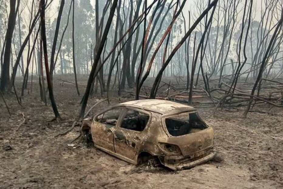 Oliveira do Hospital