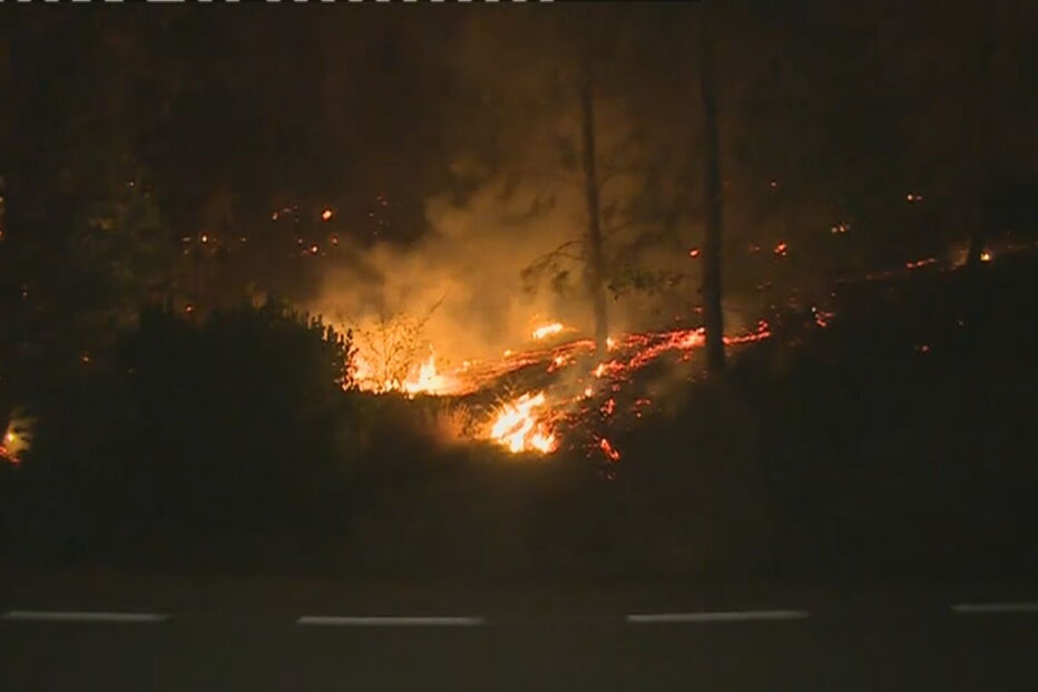 Fogo na Sertã obriga ao corte da Estrada Nacional 238