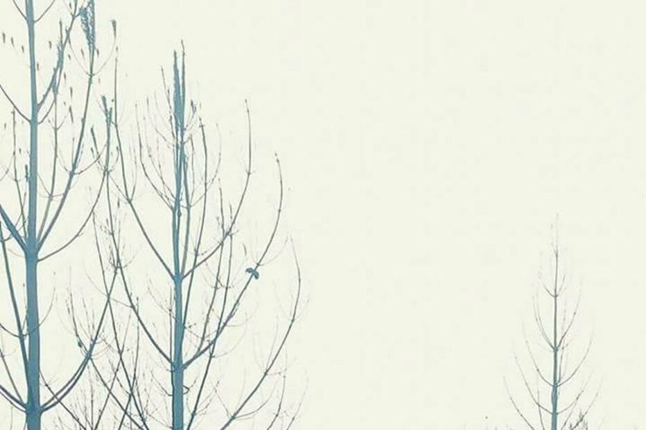 Incêndio Marinha Grande