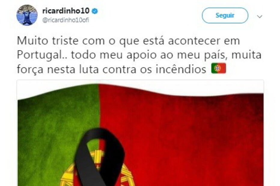 Ricardinho, Portugal, incêndios