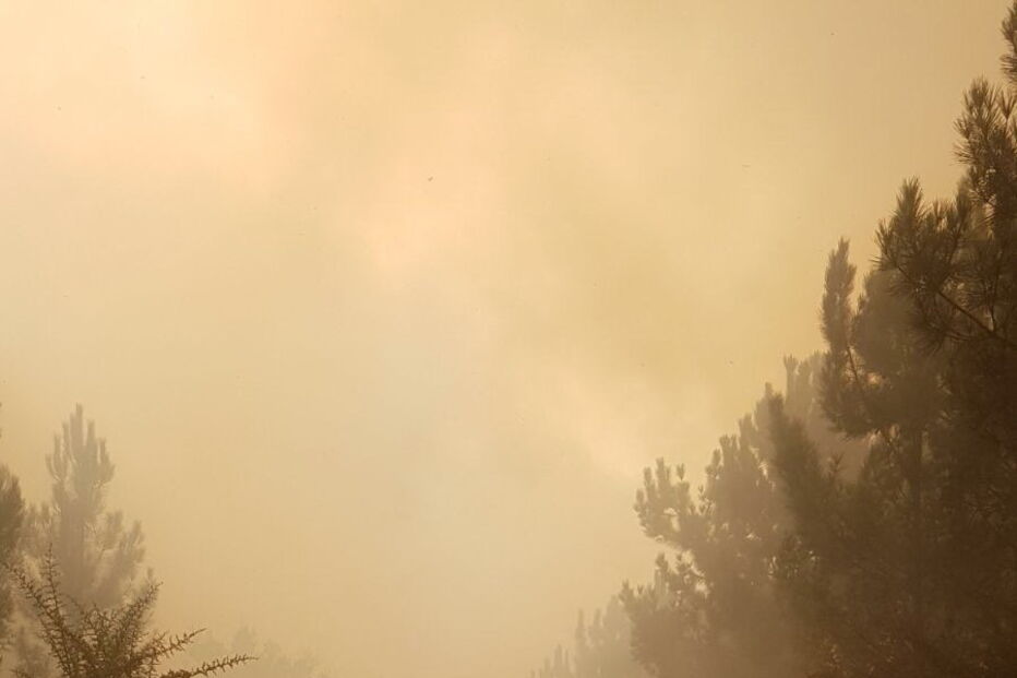 Leiria, incêndios, Portugal 