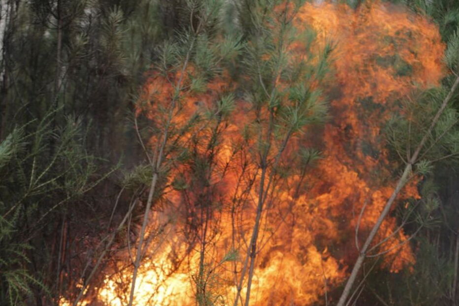 2017-10-16_16_41.49 Tiago Petinga Lusa Incendio pinhal urbana das Gaeiras, Marinha Grande.jpg