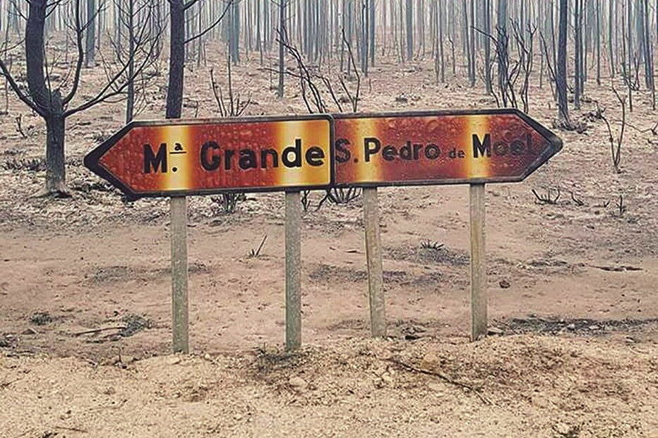 Placas colocadas ao longo das estradas também foram devoradas pelo incêndio,  que em poucas horas destruiu  80 por cento do Pinhal de Leiria