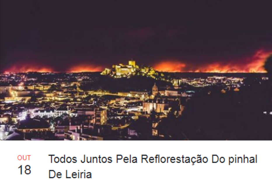 Incêndio, manifestação, Braga, Lisboa, Porto, Leiria