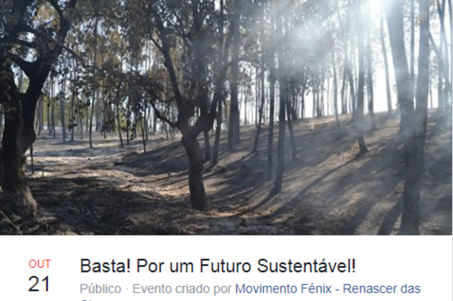 Incêndio, manifestação, Braga, Lisboa, Porto, Leiria