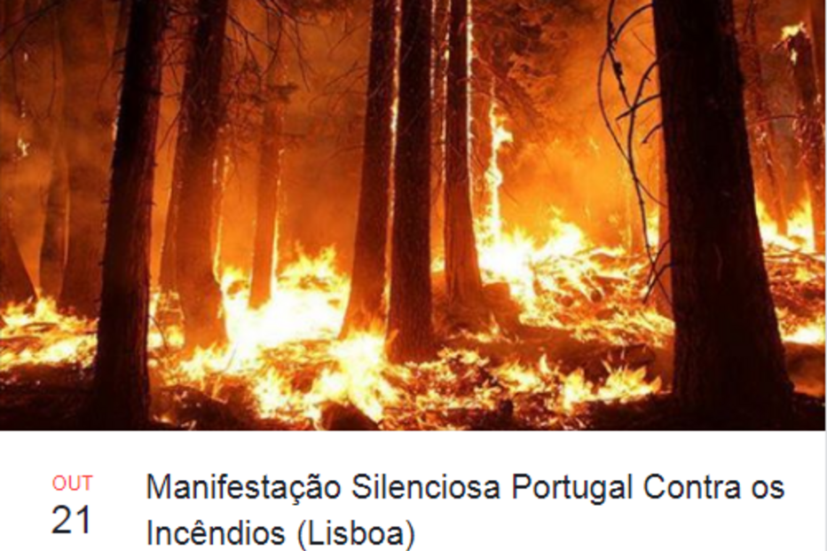Incêndio, manifestação, Braga, Lisboa, Porto, Leiria