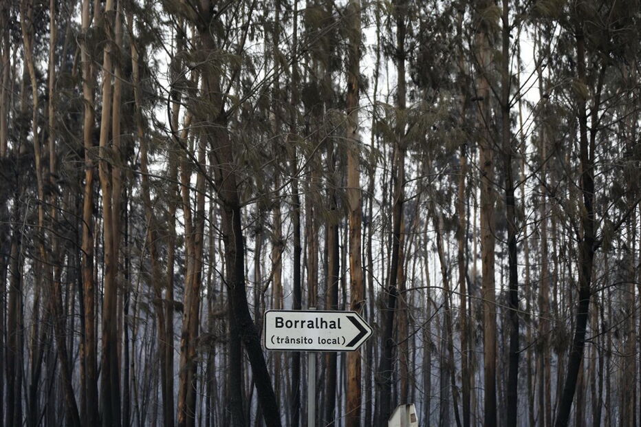 Destroços, incêndios, Portugal 