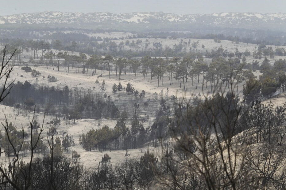 Destroços, incêndios, Portugal 