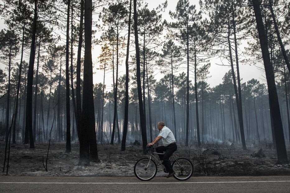 Destroços, incêndios, Portugal 