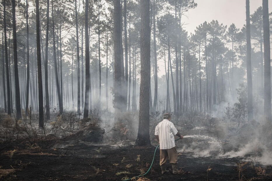 Destroços, incêndios, Portugal 