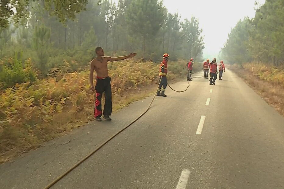 Pinhal do Rei ardeu em fogo devastador