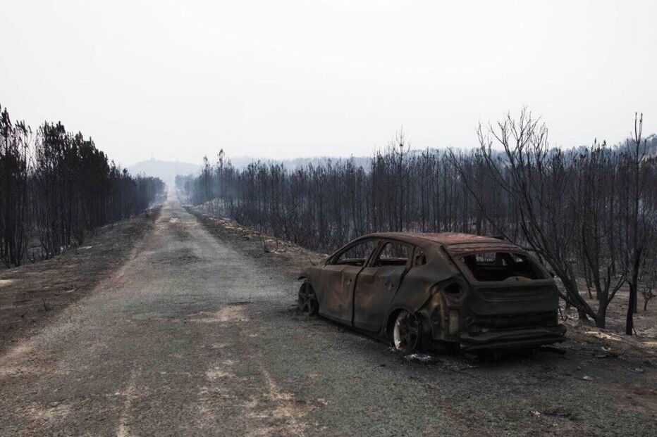 Pinhal de Leiria, Incendio