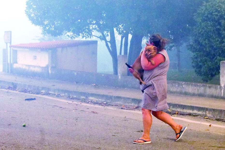 Em Vila Nova de Poiares uma mulher teve de fugir de casa mas salvou o cão da família    