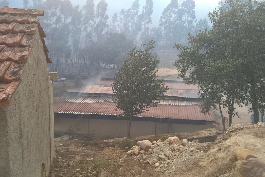 A empresa NaturApproach foi arrasada pelo fogo