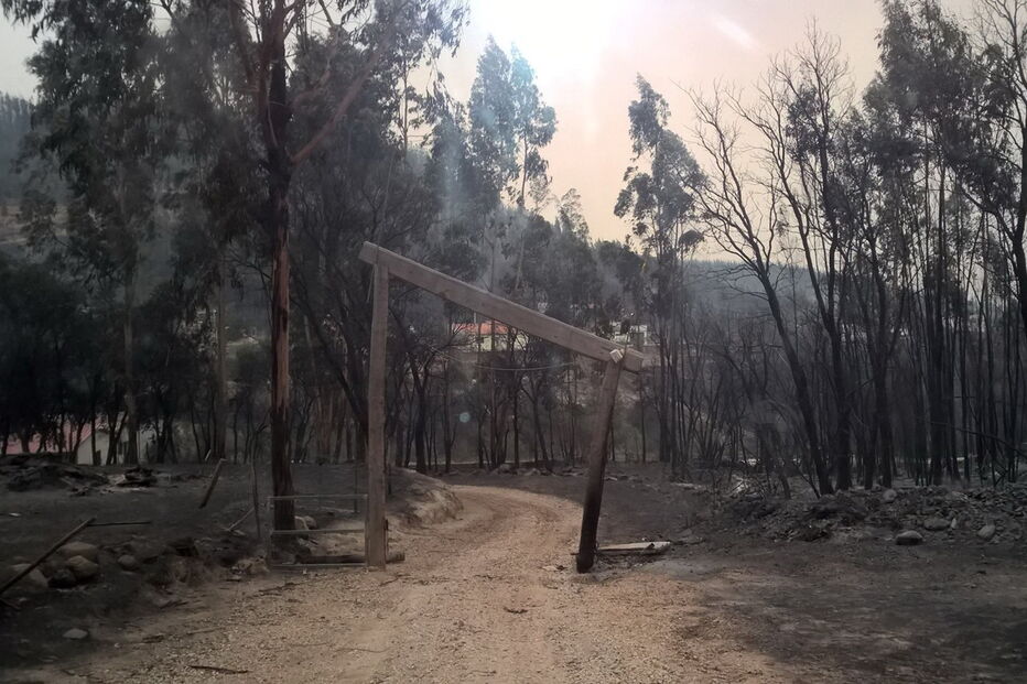 A empresa NaturApproach foi arrasada pelo fogo